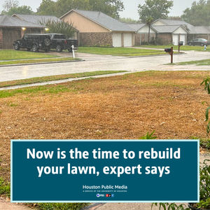 Image post by @houstonpubmedia on Instagram