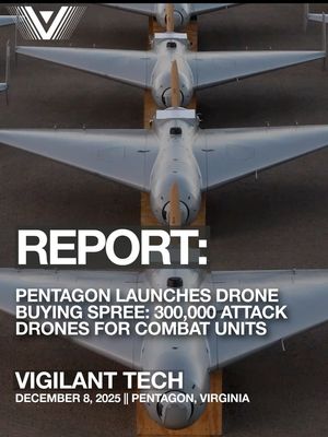 Image post by @thevigilantheroes on Instagram