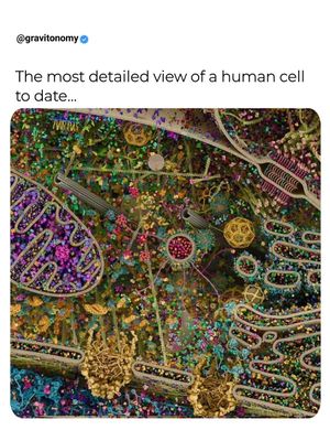 Image post by @gravitonomy on Instagram