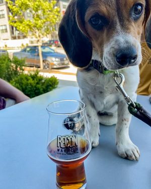 Image post by @reconbrewing on Instagram