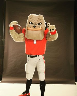Image post by @ugahairydawg on Instagram