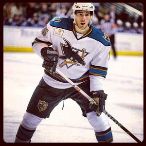 Image post by @sanjosesharks on Instagram