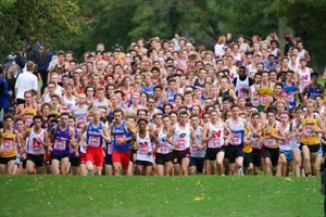 Image post by @ustfccca on Instagram