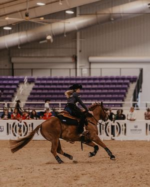 Image post by @smuequestrian on Instagram
