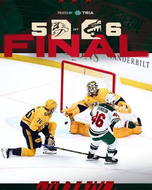 Image post by @minnesotawild on Instagram