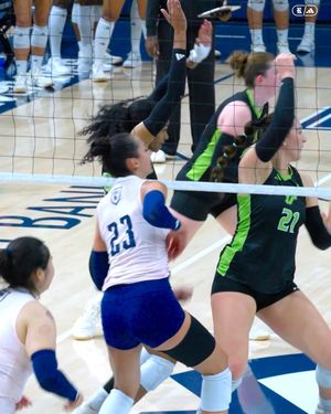 Image post by @ricevolleyball on Instagram