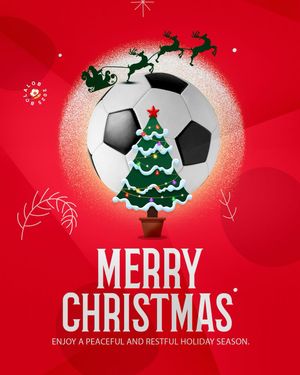 Image post by @bolalobfutsal on Instagram
