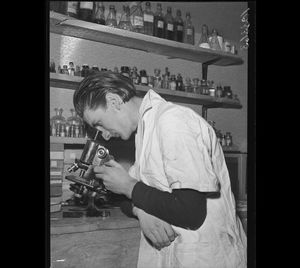 Image post by @toronto_archives on Instagram