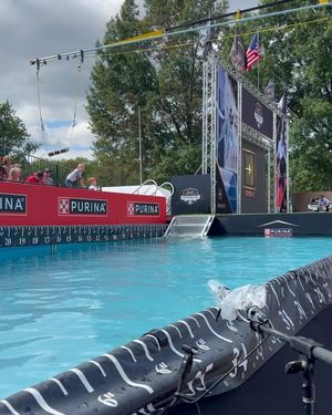 Image post by @purina on Instagram