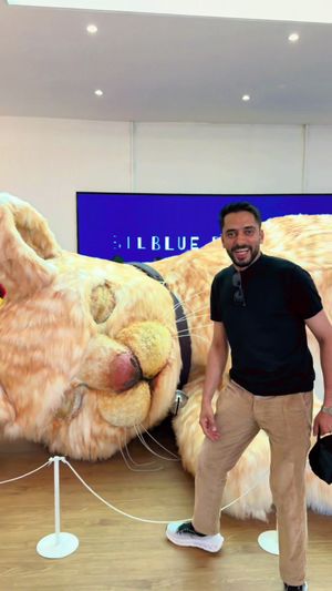 Video post by @boss_hamed on TikTok
