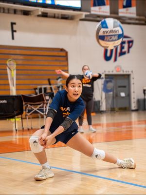 Image post by @utepvb on Instagram