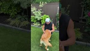 Video post by @dalton.chandlerr on YouTube