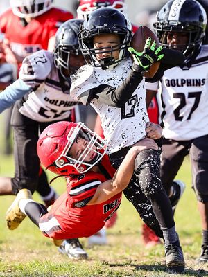 Image post by @taylograph_ on Instagram