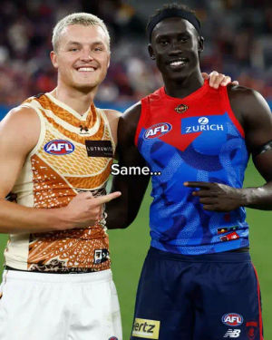 Image post by @afl on TikTok