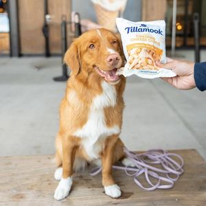 Image post by @Tillamook County Creamery Association on Facebook
