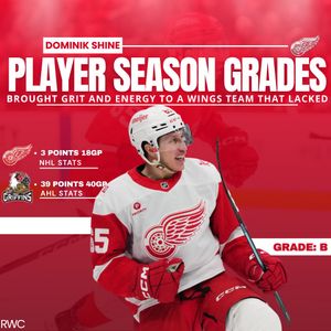 Image post by @redwingscoverage on Instagram