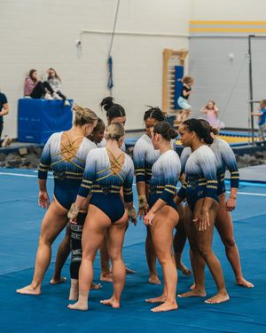 Image post by @wvugymnastics on Instagram