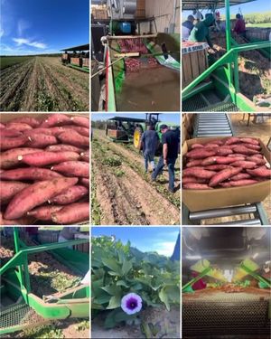 Video post by @Community Provisions on Facebook