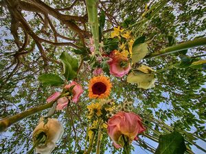 Image post by @abbasalkhamis on Instagram