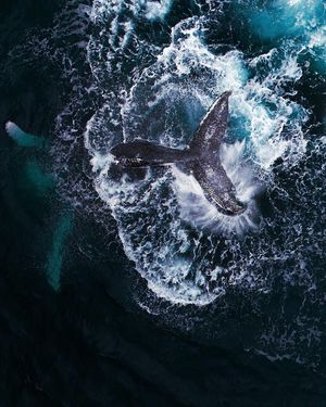 Image post by @droneartgallery on Instagram