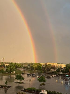 Image post by @ntvnews on Instagram