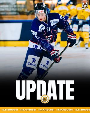 Image post by @marcussi._ on Instagram