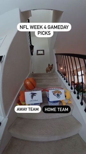 Video post by @aircorg on Instagram