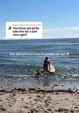 Video post by @frothyblonde on TikTok