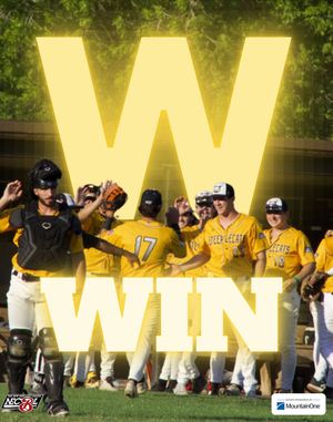 Image post by @steeplecats on Instagram