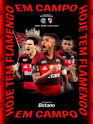Video post by @flamengo on TikTok