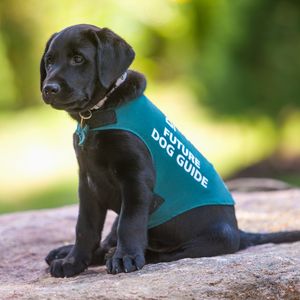 Image post by @animalplanet on Instagram