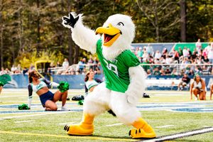 Image post by @endicottcollege on Instagram