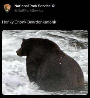 Image post by @nationalparkservice on Instagram