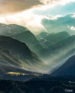 Image post by @cristan.nature.photography on Instagram