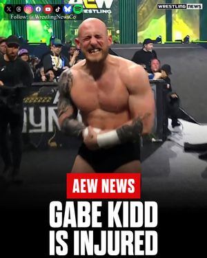 Image post by @wrestlingnewsco on Instagram