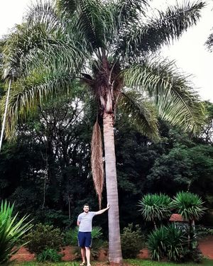 Image post by @operitoambiental on Instagram