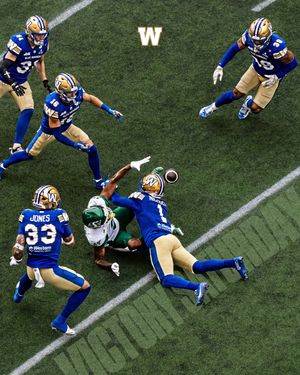 Image post by @wpgbluebomberscfl on Instagram