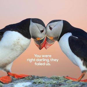 Image post by @rspb on Instagram