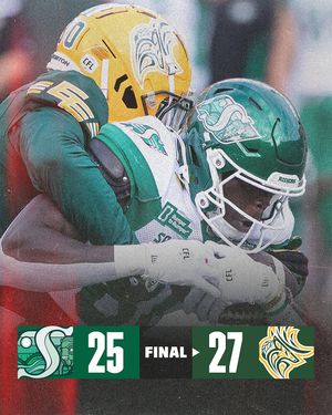 Image post by @cfl on Instagram