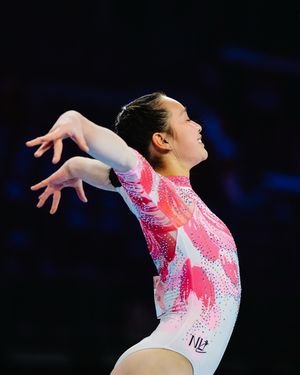 Image post by @usagym on Instagram