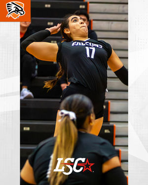 Image post by @lonestarconf on Instagram