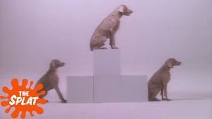 Video post by @nickelodeon on YouTube