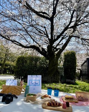 Image post by @hilton.hiroshima on Instagram