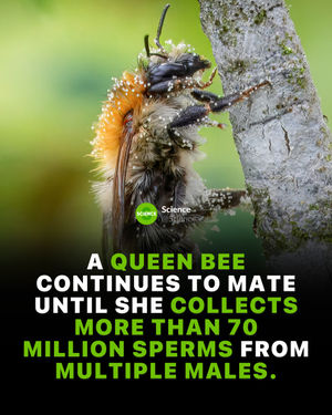 Image post by @science on Instagram