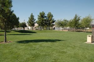 Image post by @cityofhenderson on Instagram