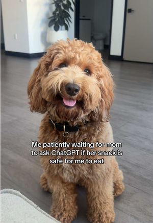 Video post by @tedflixnchill on TikTok