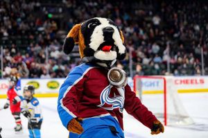 Image post by @coloradoeagleshockey on Instagram