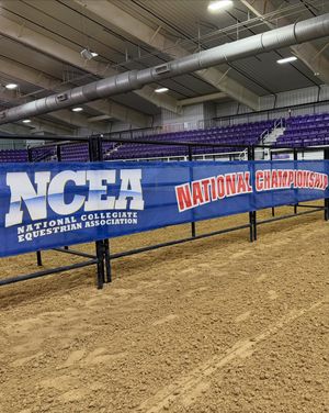 Image post by @nceaeq on Instagram