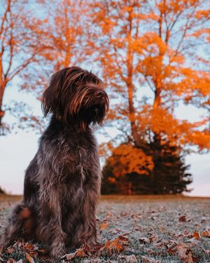 Image post by @halesgoodreau on Instagram