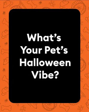 Video post by @petsmart on TikTok